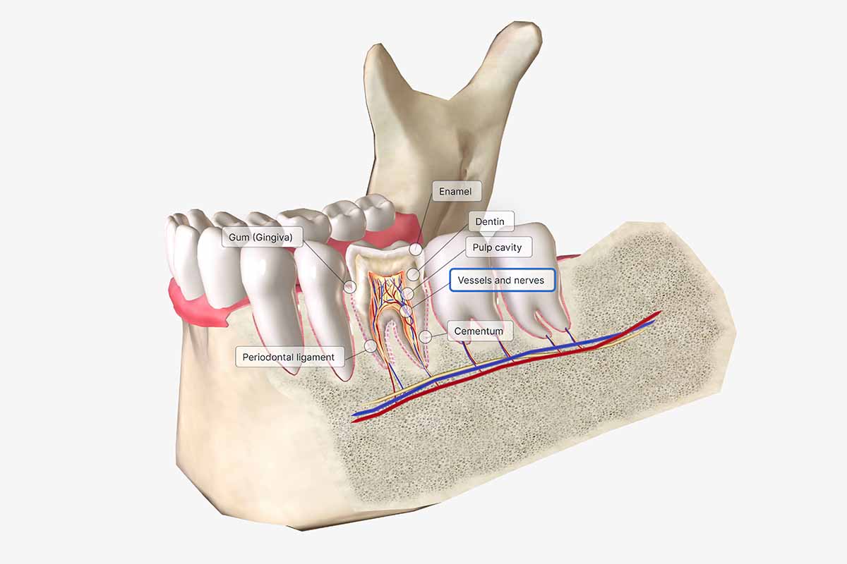Kadıköy Block Kemik - Kemik Dental Clinic